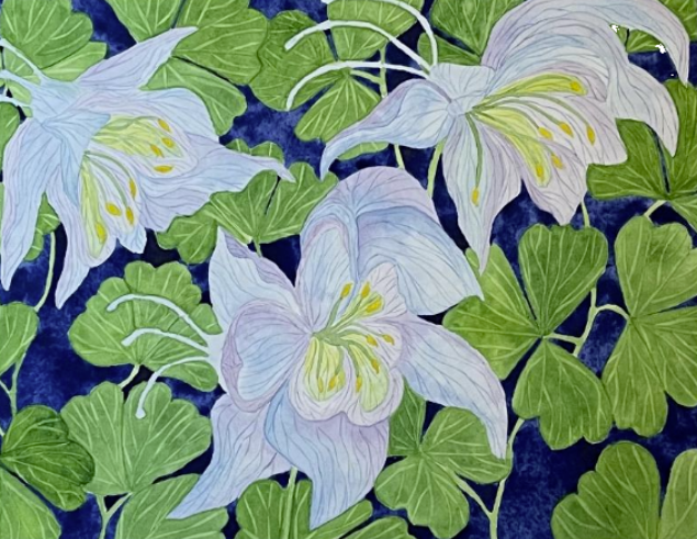 Painting Watercolor Flower Columbine Purple Blue