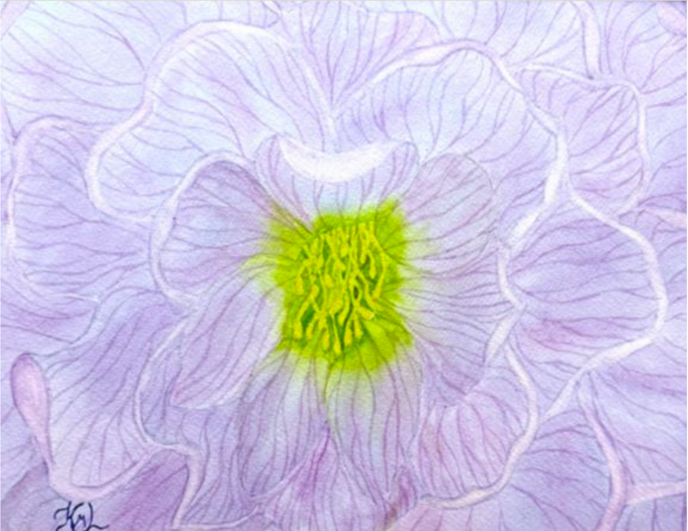 Painting Watercolor Flower Hellebore Lavender Blue
