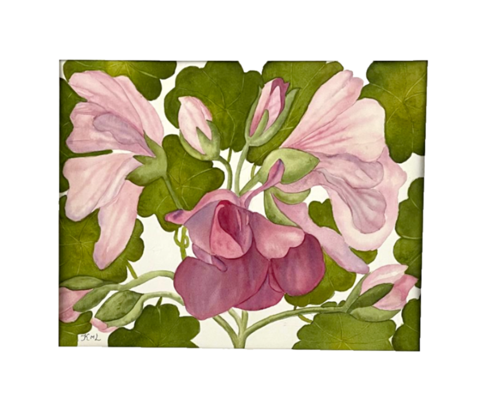 Painting Watercolor Flower Geranium Pink Purple