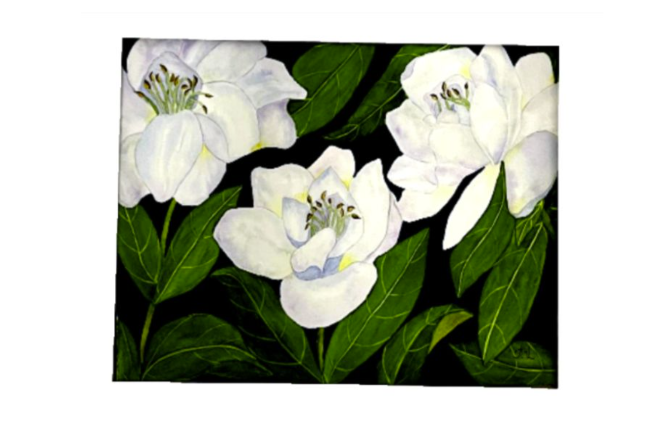 Painting Watercolor Flower Gardenia White Blue Art