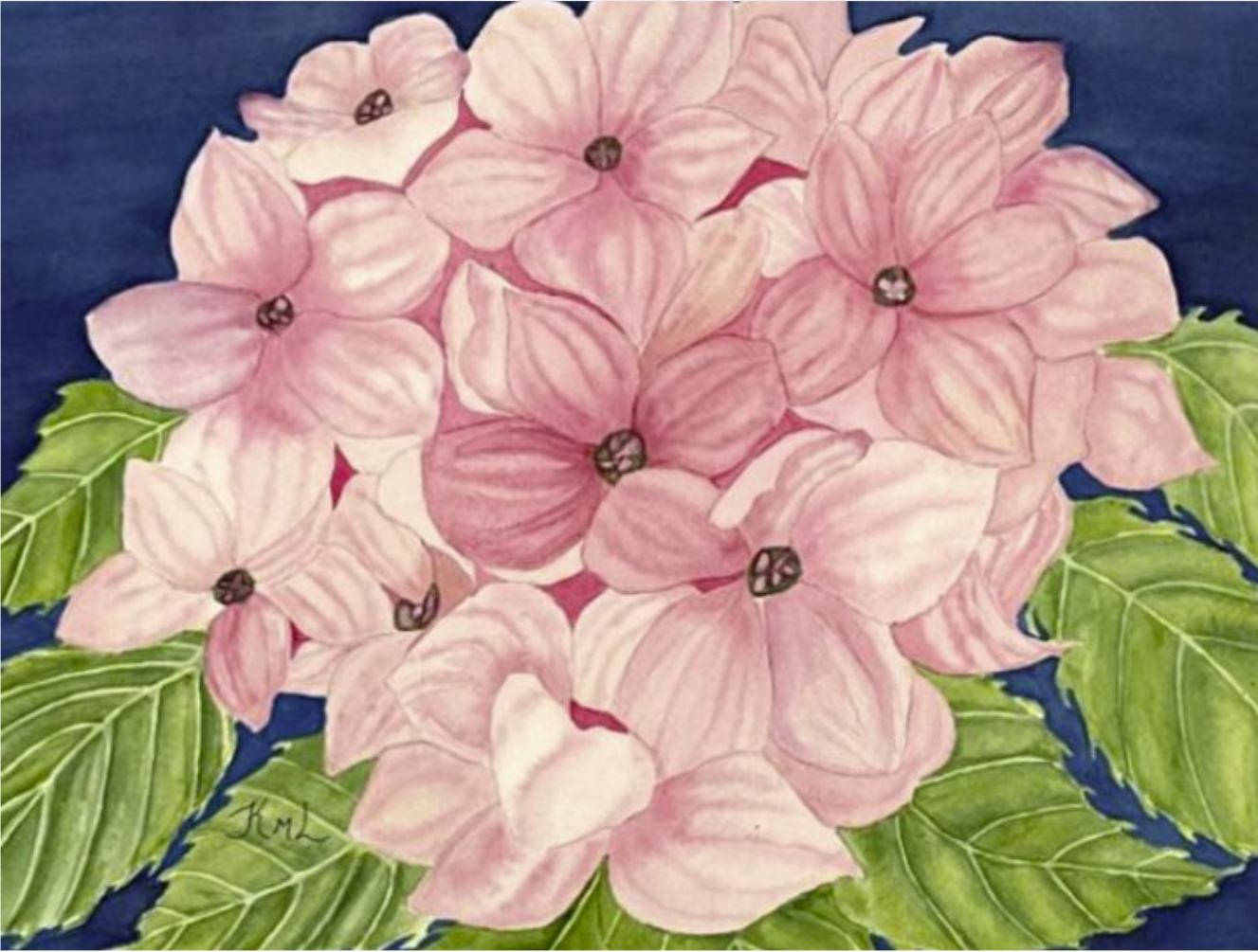 Painting Watercolor Flower Hydrangea Pink Art