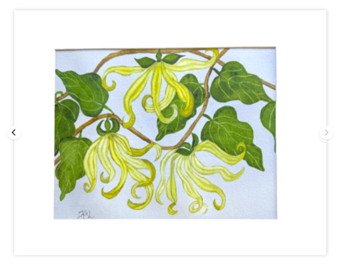 Painting Watercolor Flower Ylang Ylang Yellow Art