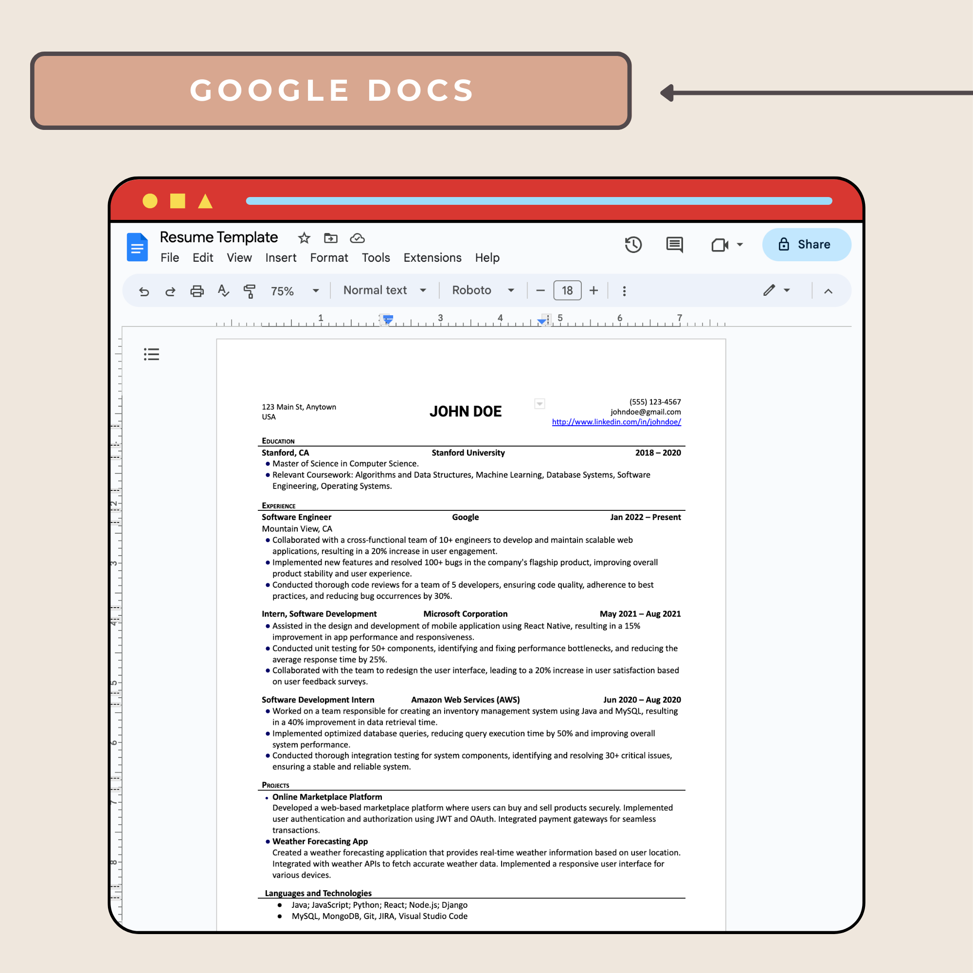 Professional Software Resume Template