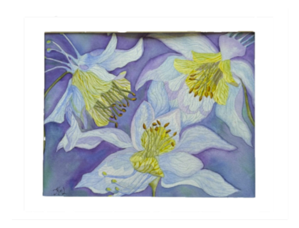 Painting Watercolor Flowers Columbine Blue Purple