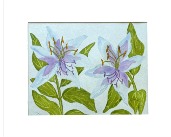 Painting Watercolor Flower Lily Blue Green