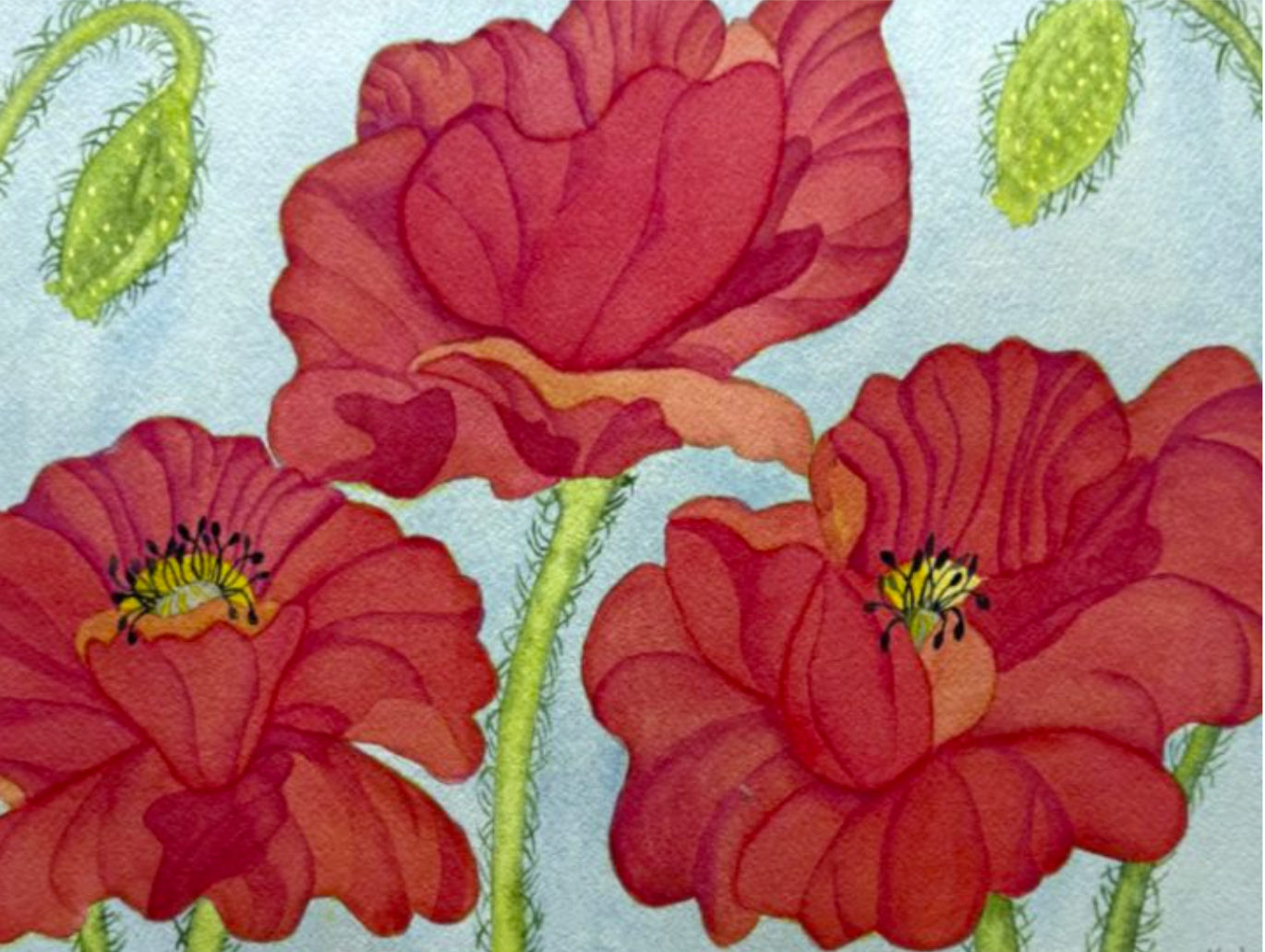 Painting Watercolor Flower Poppy Red Orange Art