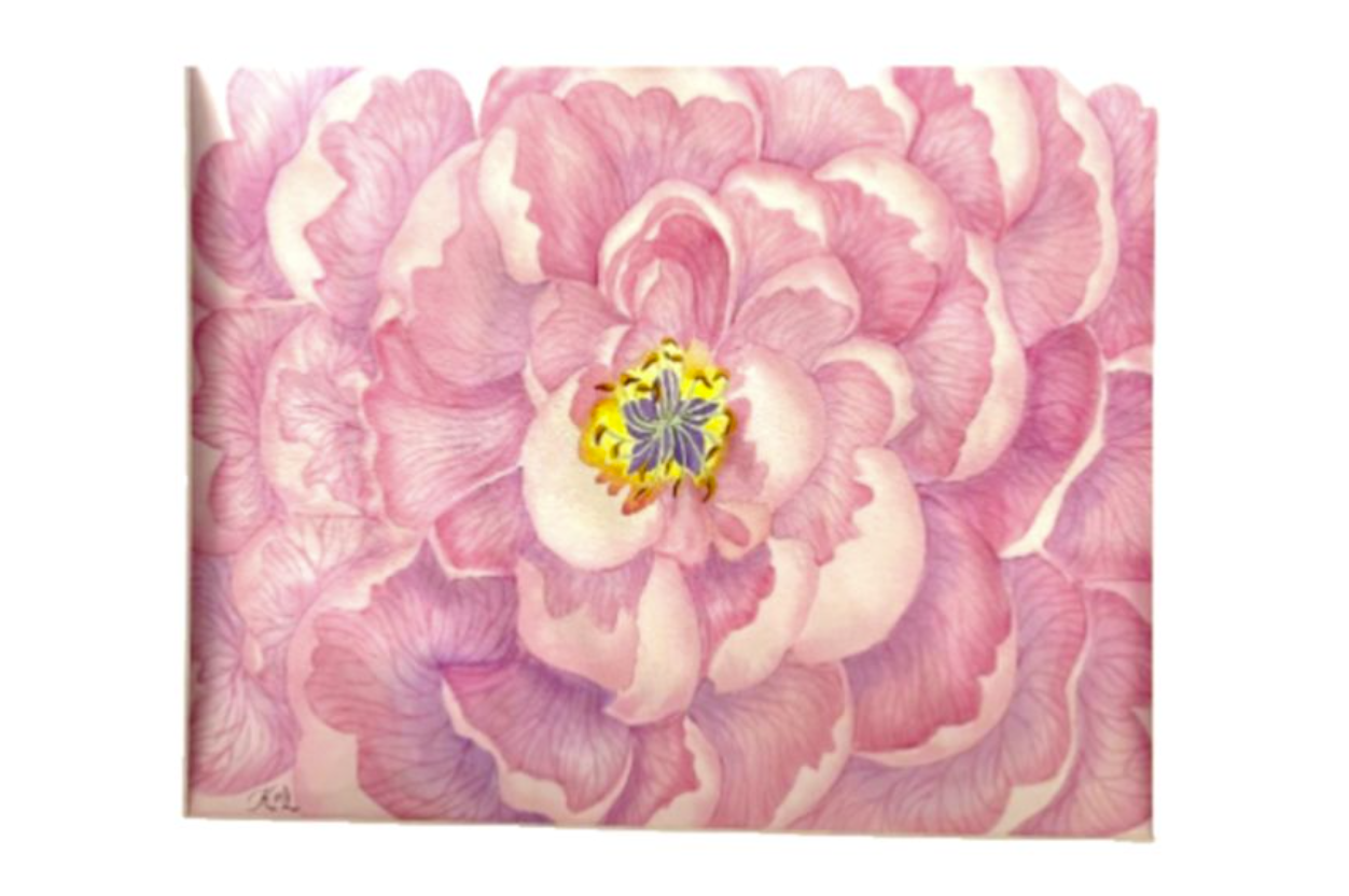 Painting Watercolor Flower Peony Pink Original Art