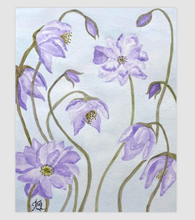 Painting Watercolor Flower Anemone Purple Blue Art