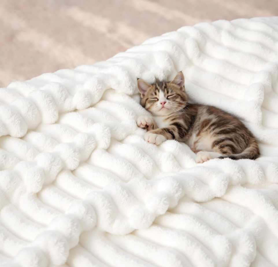 GentleSoft White Throw Blanket for Couch