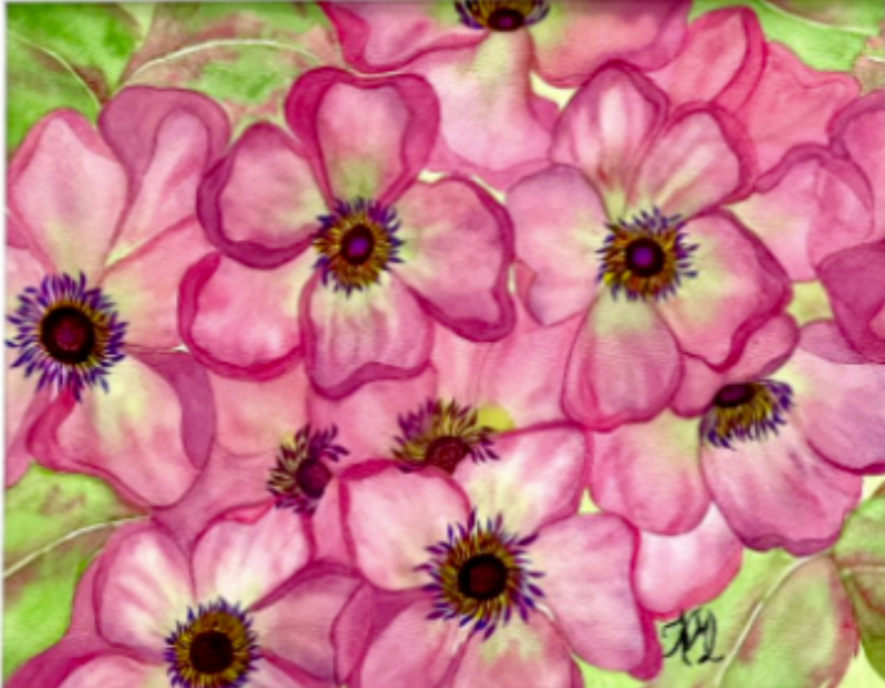 Painting Watercolor Flower Anemone Pink Floral Art