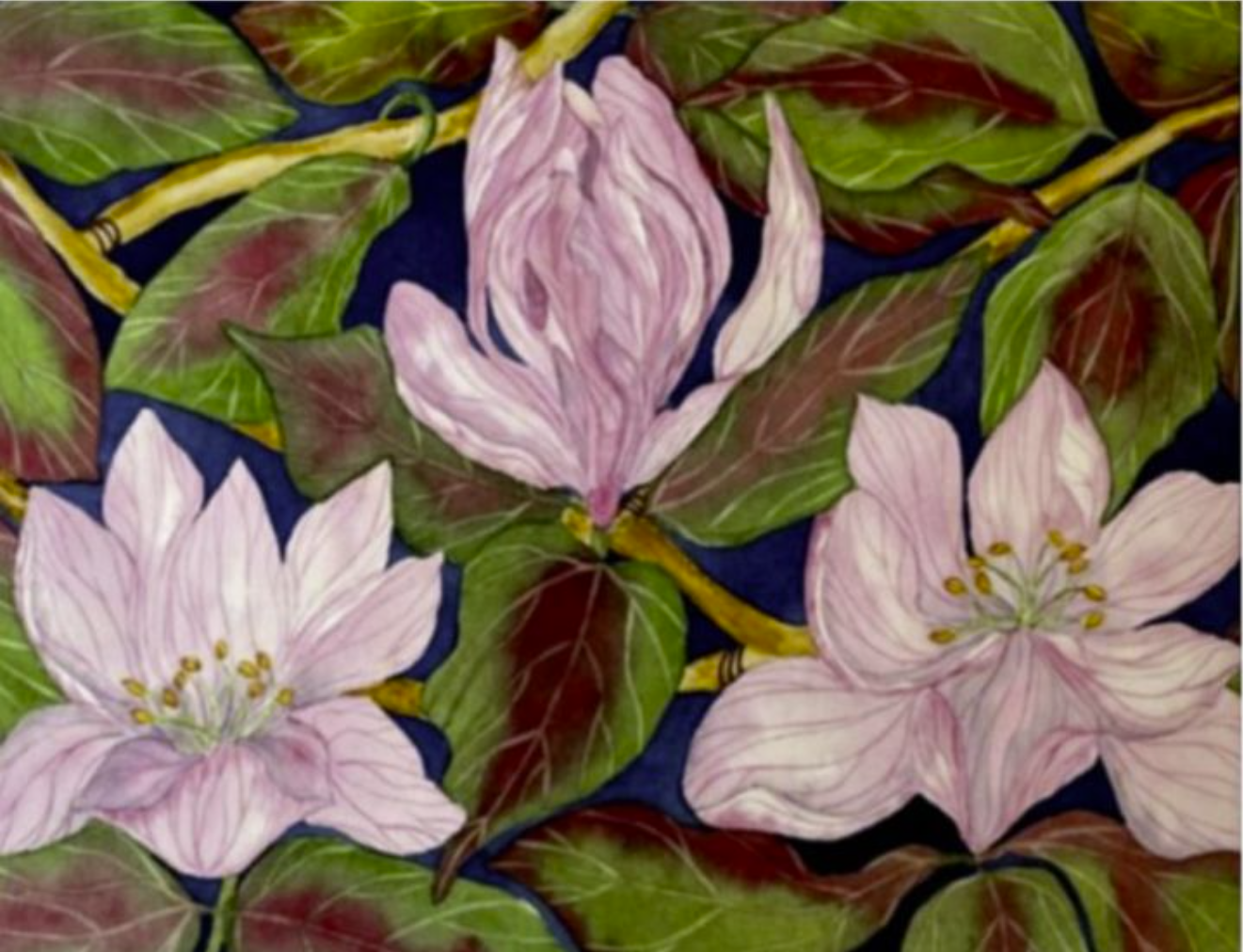 Painting Watercolor Flower Magnolia Pink Art