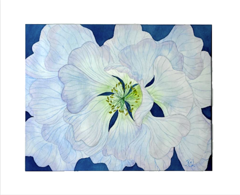 Painting Watercolor Flower Anemone Blue Lavender