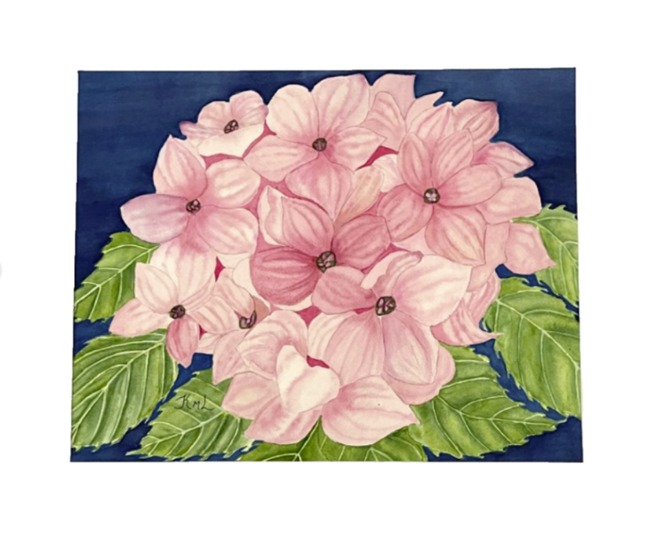 Painting Watercolor Flower Hydrangea Pink Art