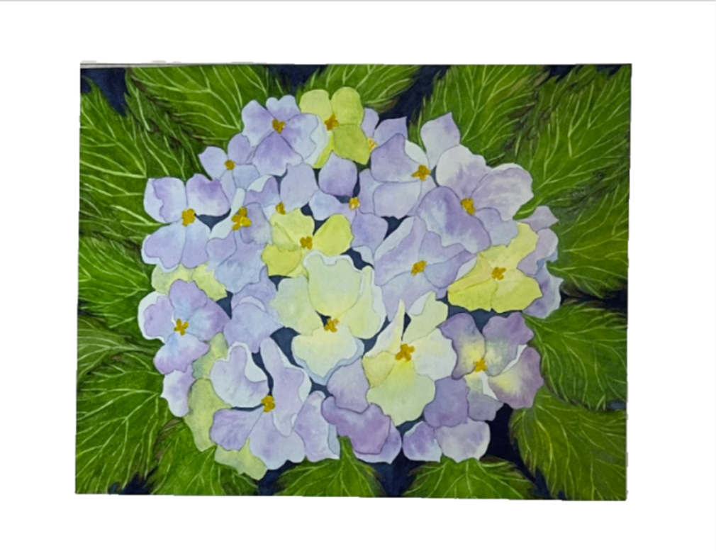 Painting Watercolor Flower Hydrangea lavende Blue