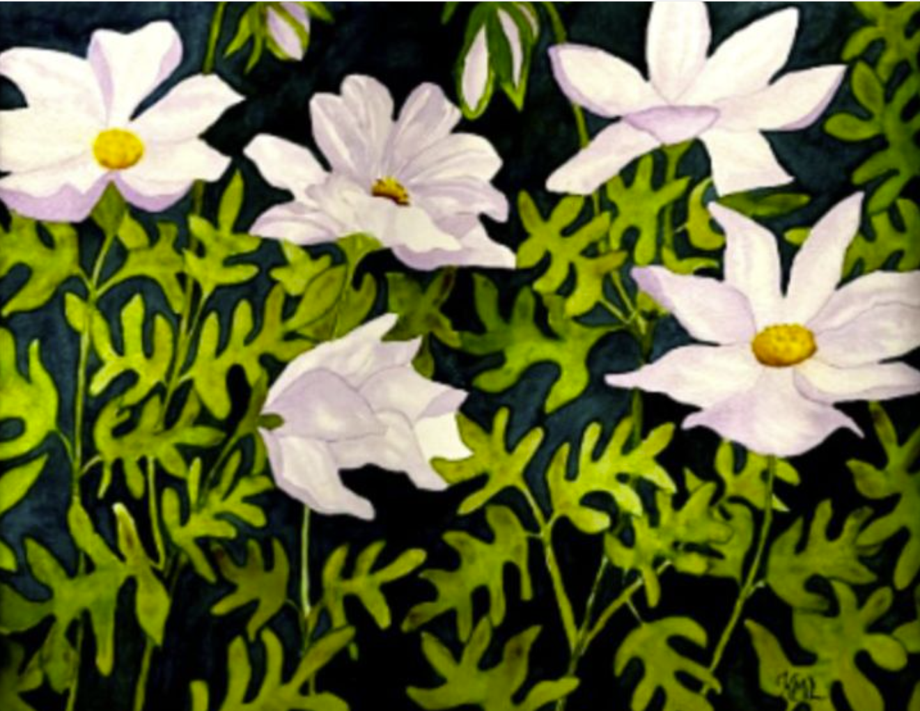Painting Watercolor Flower Cosmos Lavender Purple