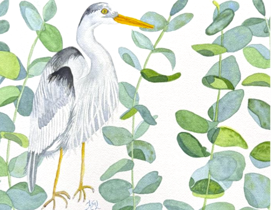 Painting Watercolor Heron Bird Eucalytus Leaves