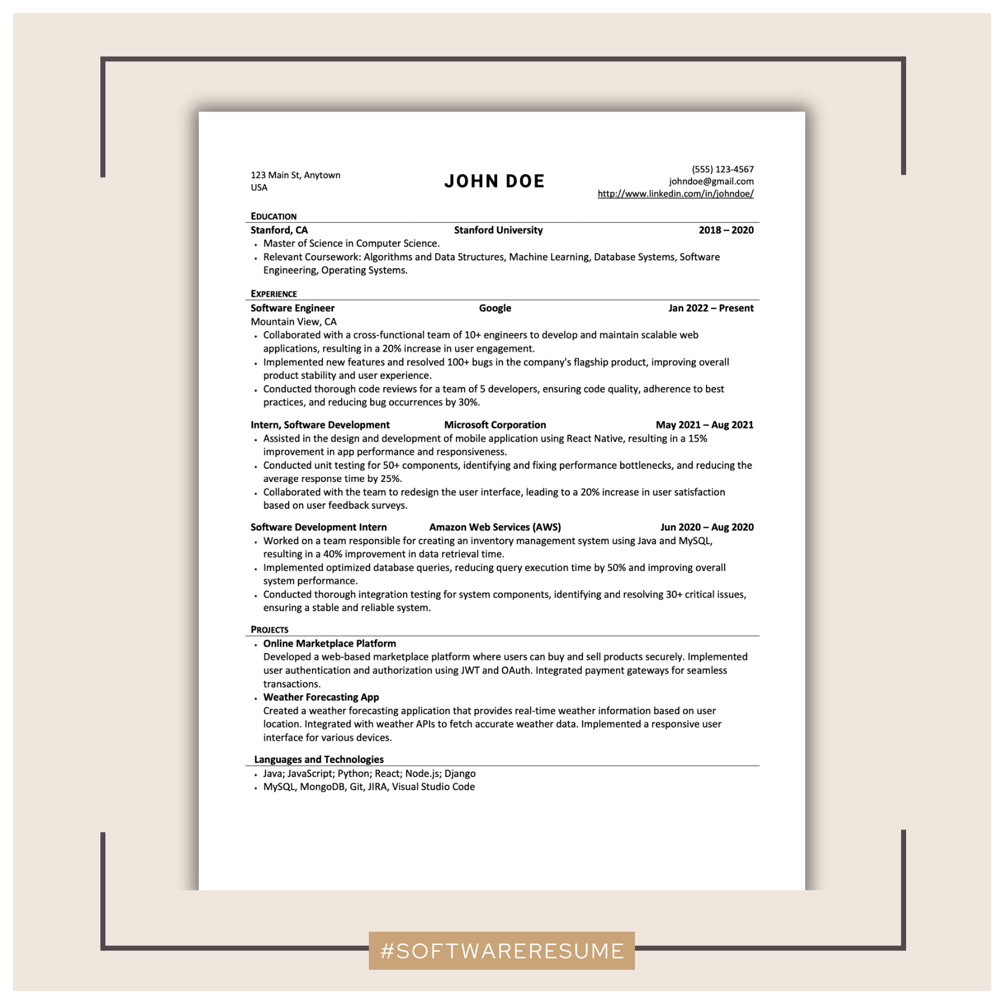 Professional Software Resume Template