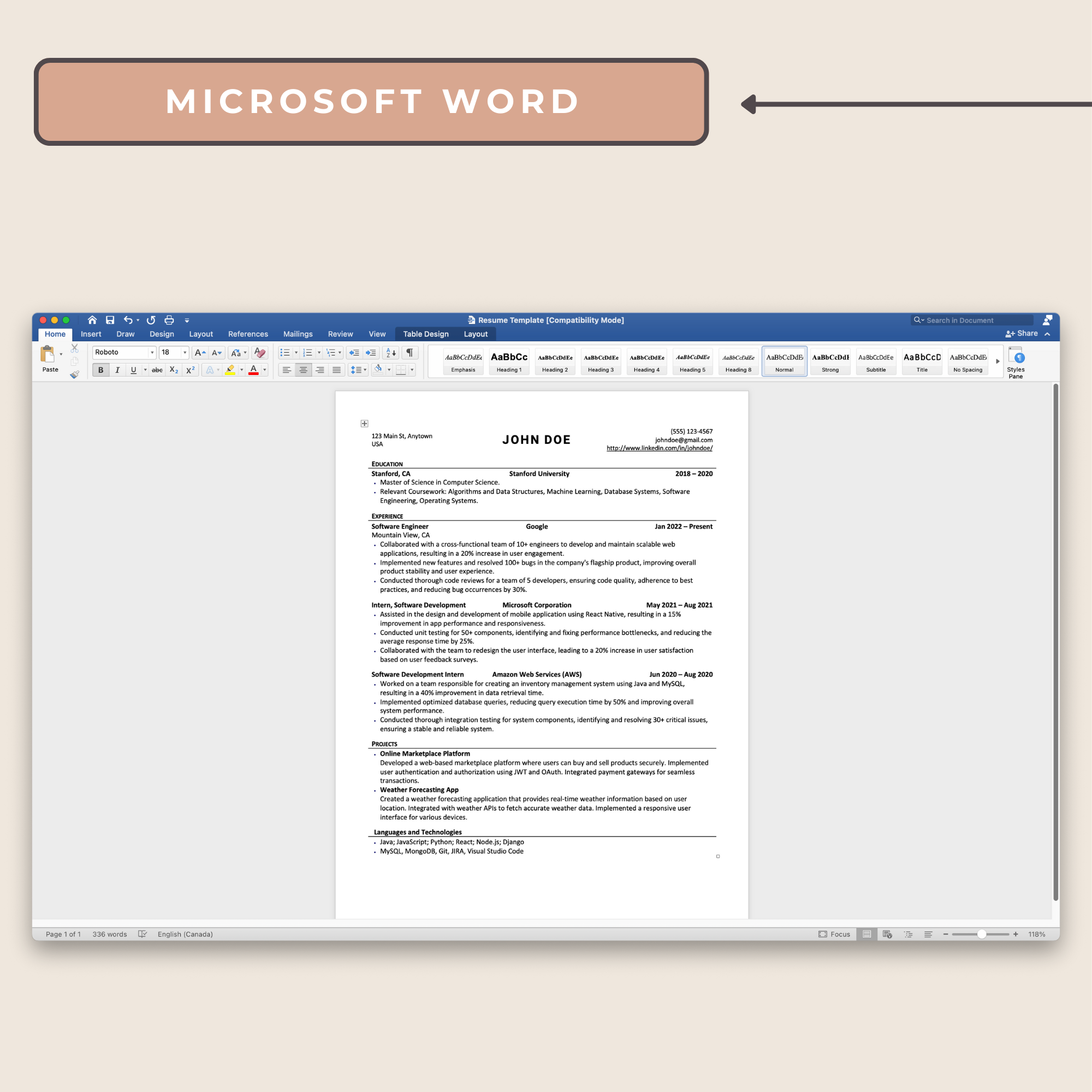 Professional Software Resume Template