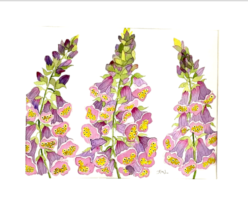 Painting Watercolor Flower Foxglove Purple Pink