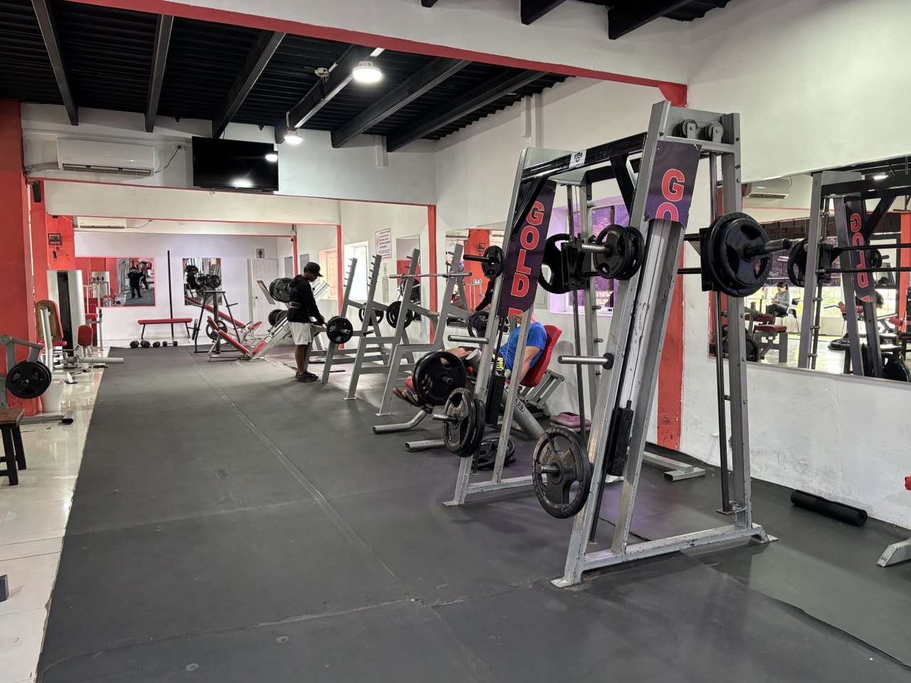 Membresia Gym