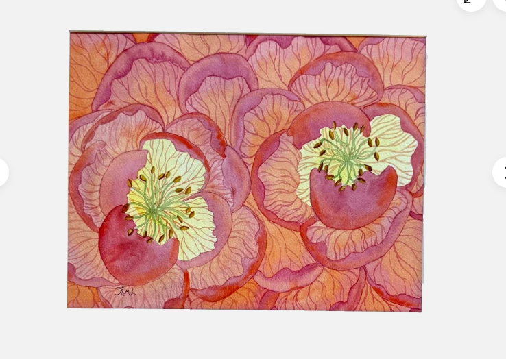 Painting Watercolor Flower Peony Pink Orange Coral