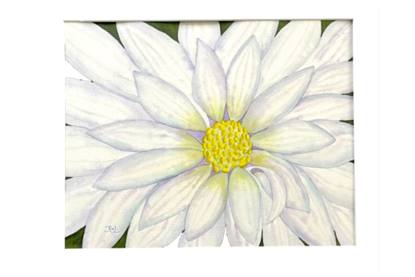 Painting Watercolor Flower Daisy White Blue Art