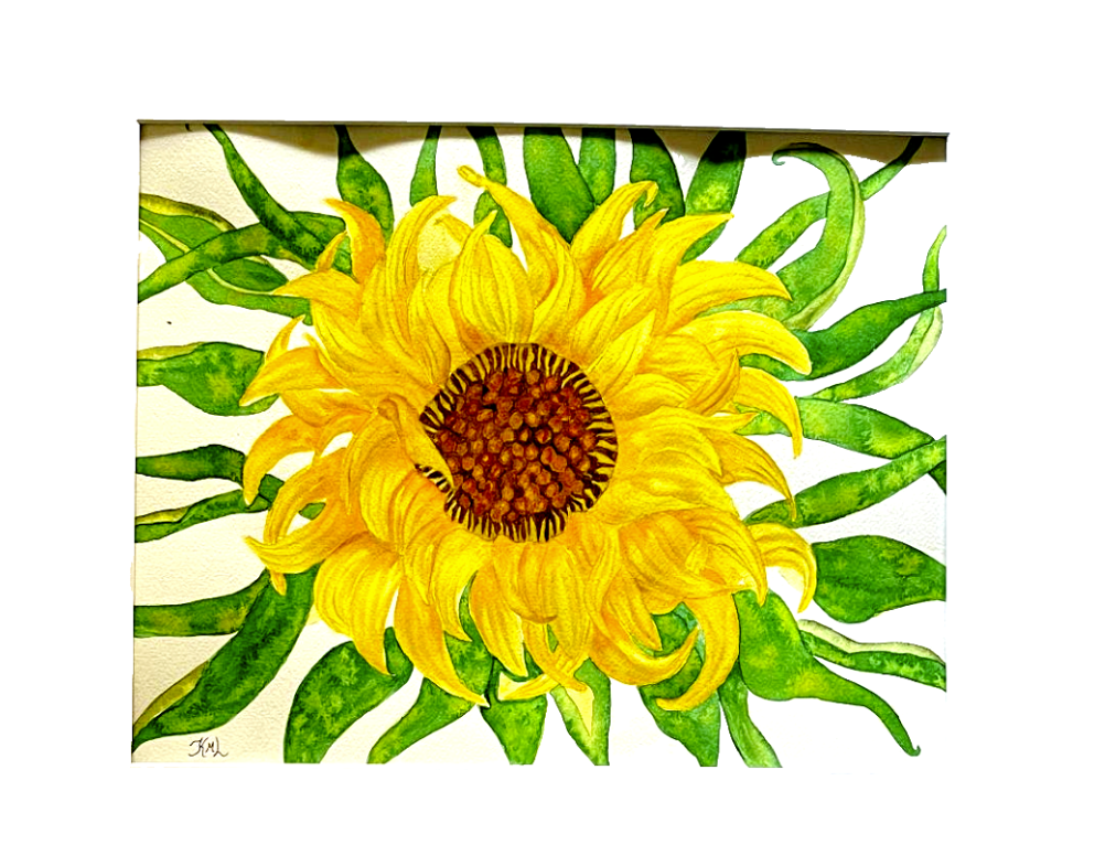 Painting Watercolor Flower Sunflower Yellow Green