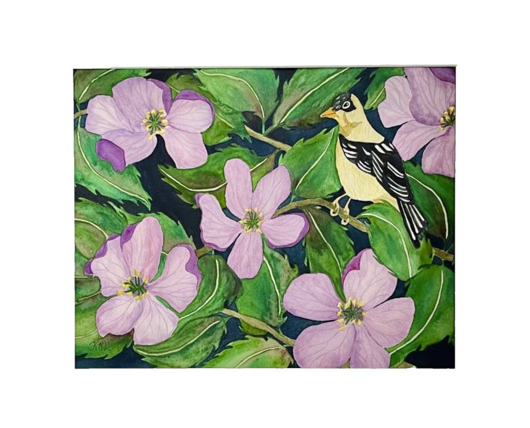 Painting Watercolor Flower Cherry Bird Finch Pink