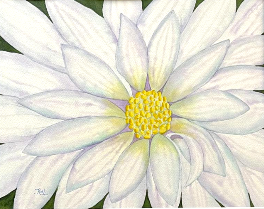 Painting Watercolor Flower Daisy White Blue Art