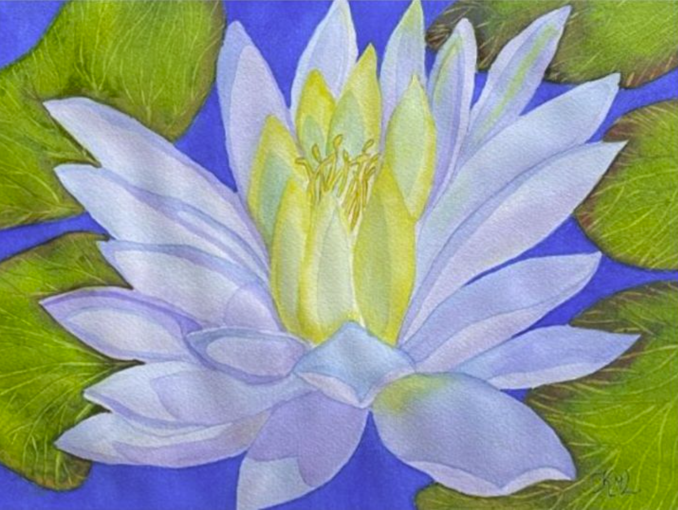 Painting Watercolor Flower Water Lily Blue Purple