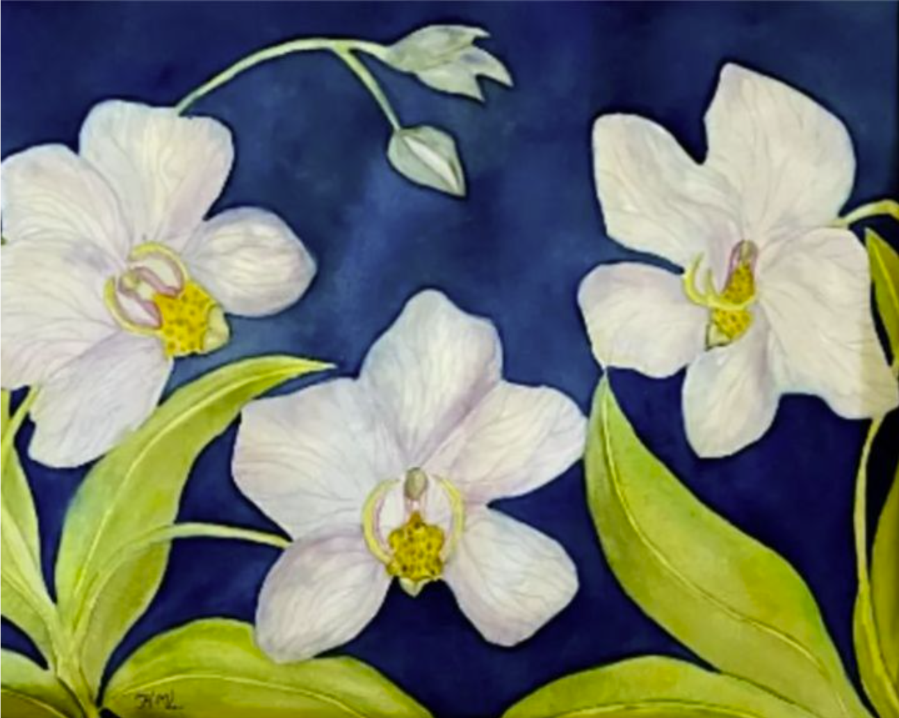Painting Watercolor Flower Orchid Lavender Blue