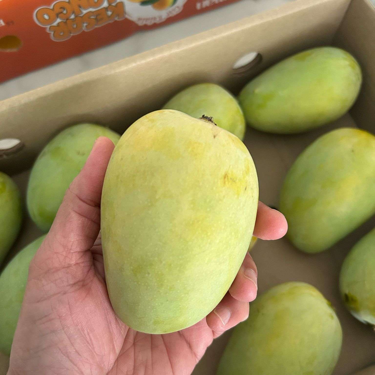 Kesar Mangoes Box of 11/12: Pick Up Apr 24