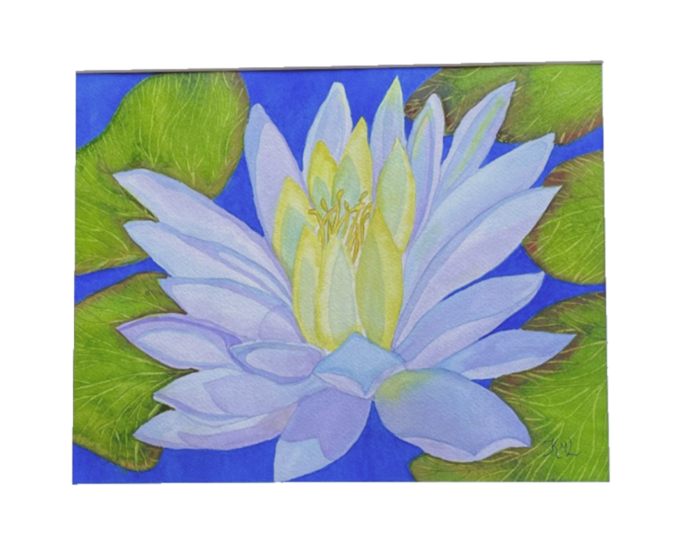 Painting Watercolor Flower Water Lily Blue Purple