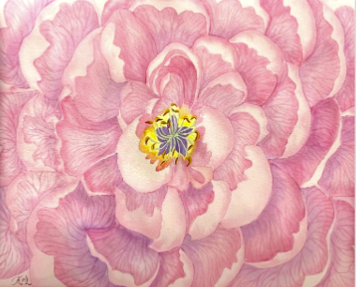 Painting Watercolor Flower Peony Pink Original Art