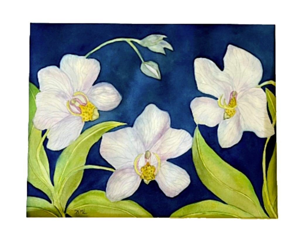 Painting Watercolor Flower Orchid Lavender Blue
