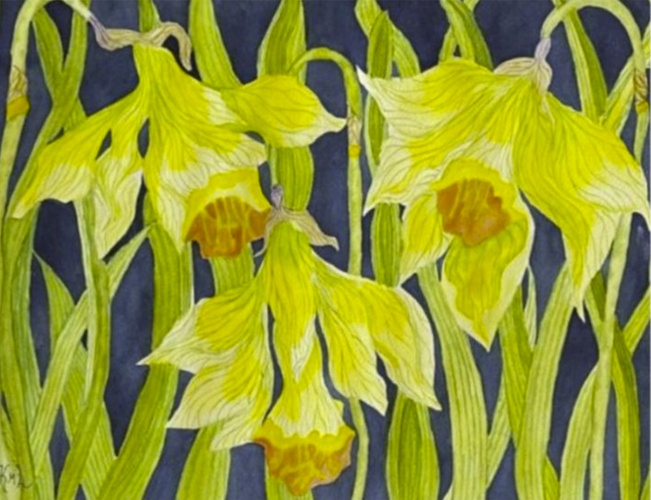 Painting Watercolor Flowers Daffodil Yellow Floral