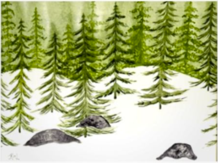 Painting Watercolor Trees Evergreen Landscape Snow