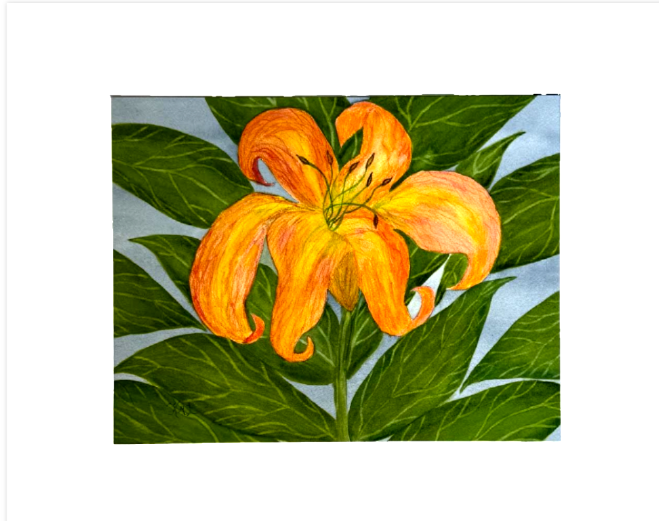 Painting Watercolor Flower Lily Orange Yellow