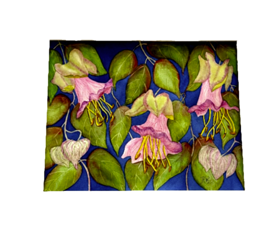 Painting Watercolor Flower Cathedral Bell Pink Art