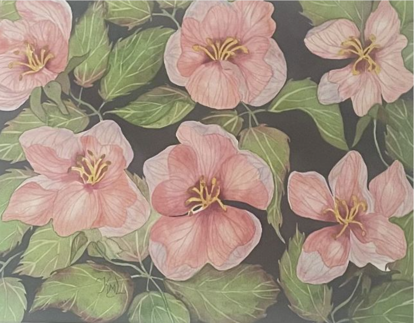 Painting Watercolor Flower Apple Blossom Pink