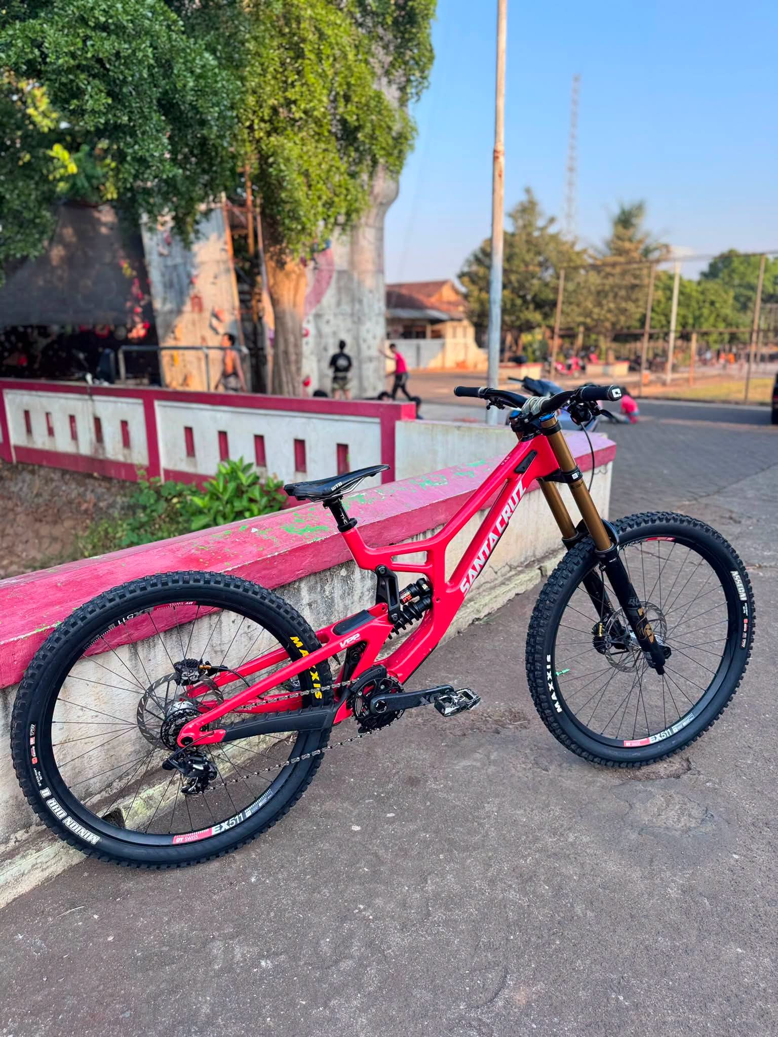 Santa Cruz V10