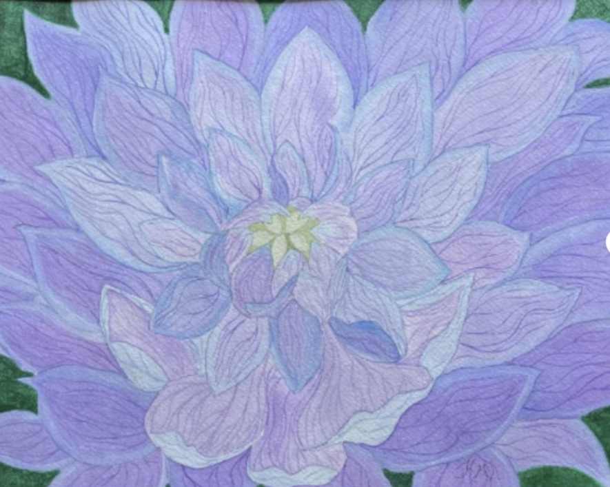 Painting Watercolor Flower Dahlia Purple Lavender