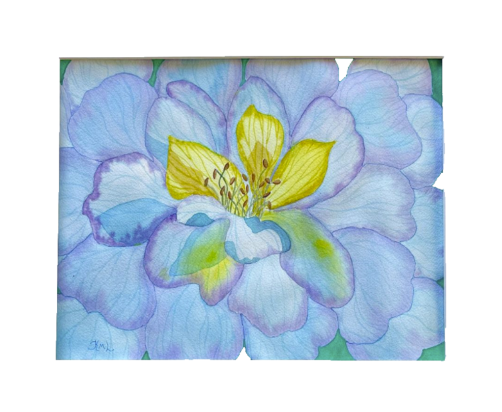 Painting Watercolor Flower Anemone Blue Purple Art