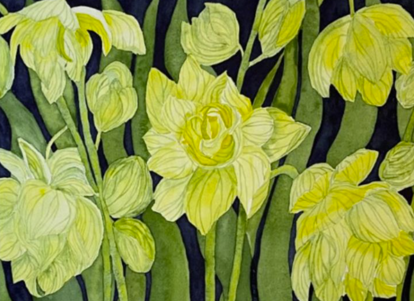 Painting Watercolor Flower Jonquil Yellow Green