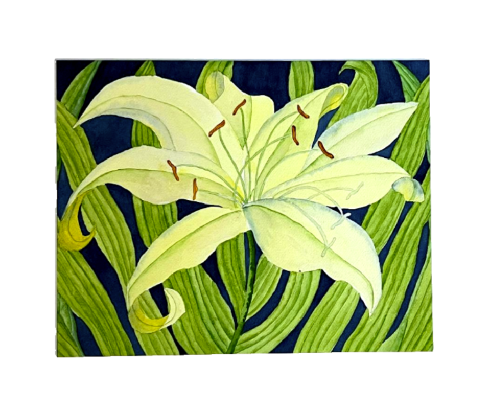 Painting Watercolor Flower Lily Yellow Green Art
