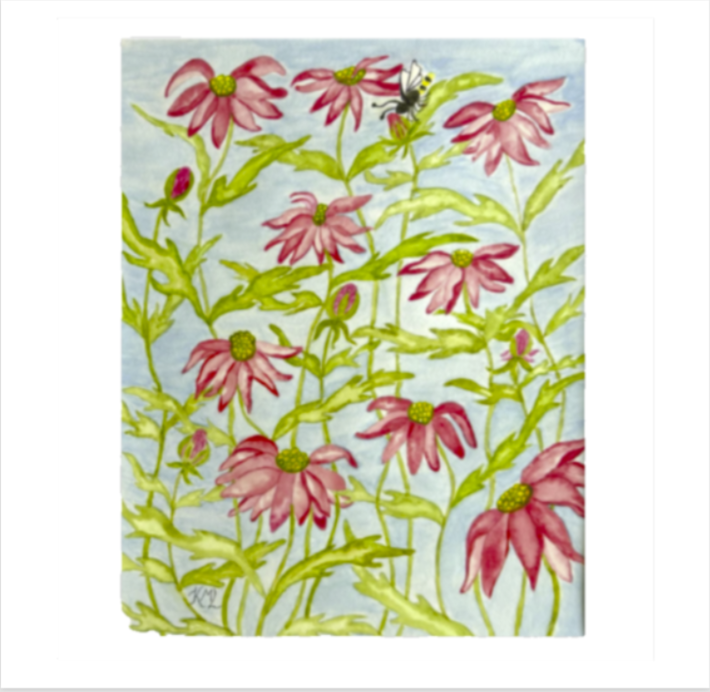 Painting Watercolor Flower Aster Pink Red Art