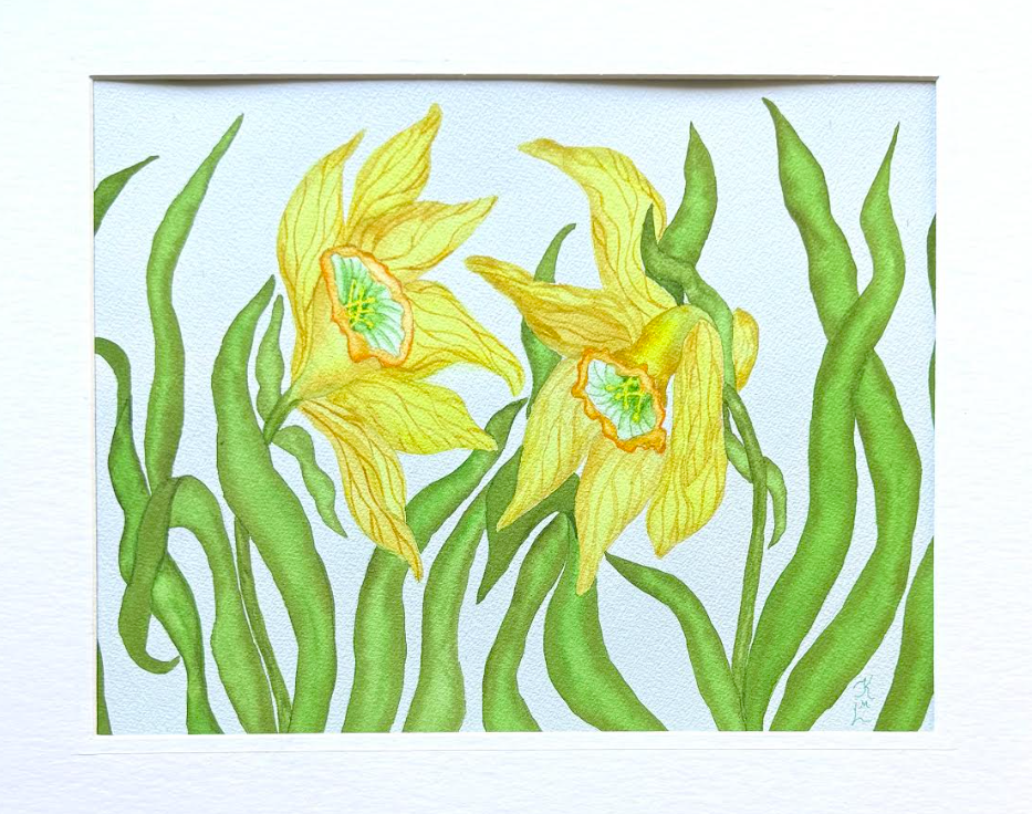 Painting Watercolor Flowers Daffodil Yellow Green