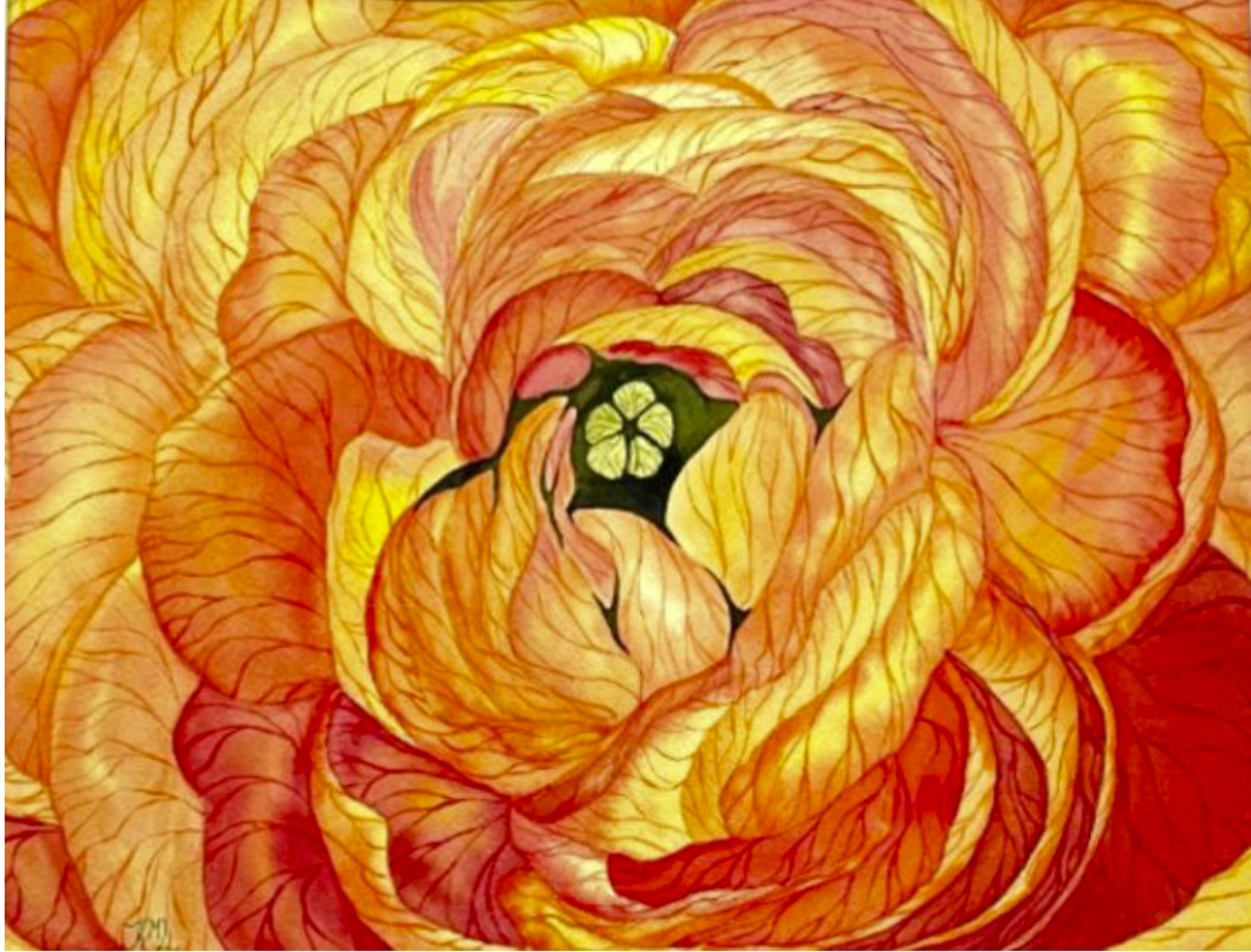 Painting Watercolor Flower Ranunculus Orange Art