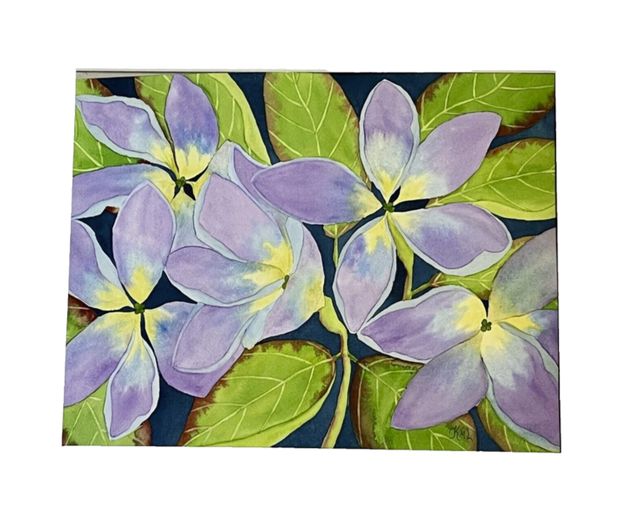 Painting Watercolor Flower Plumeria Purple Blue