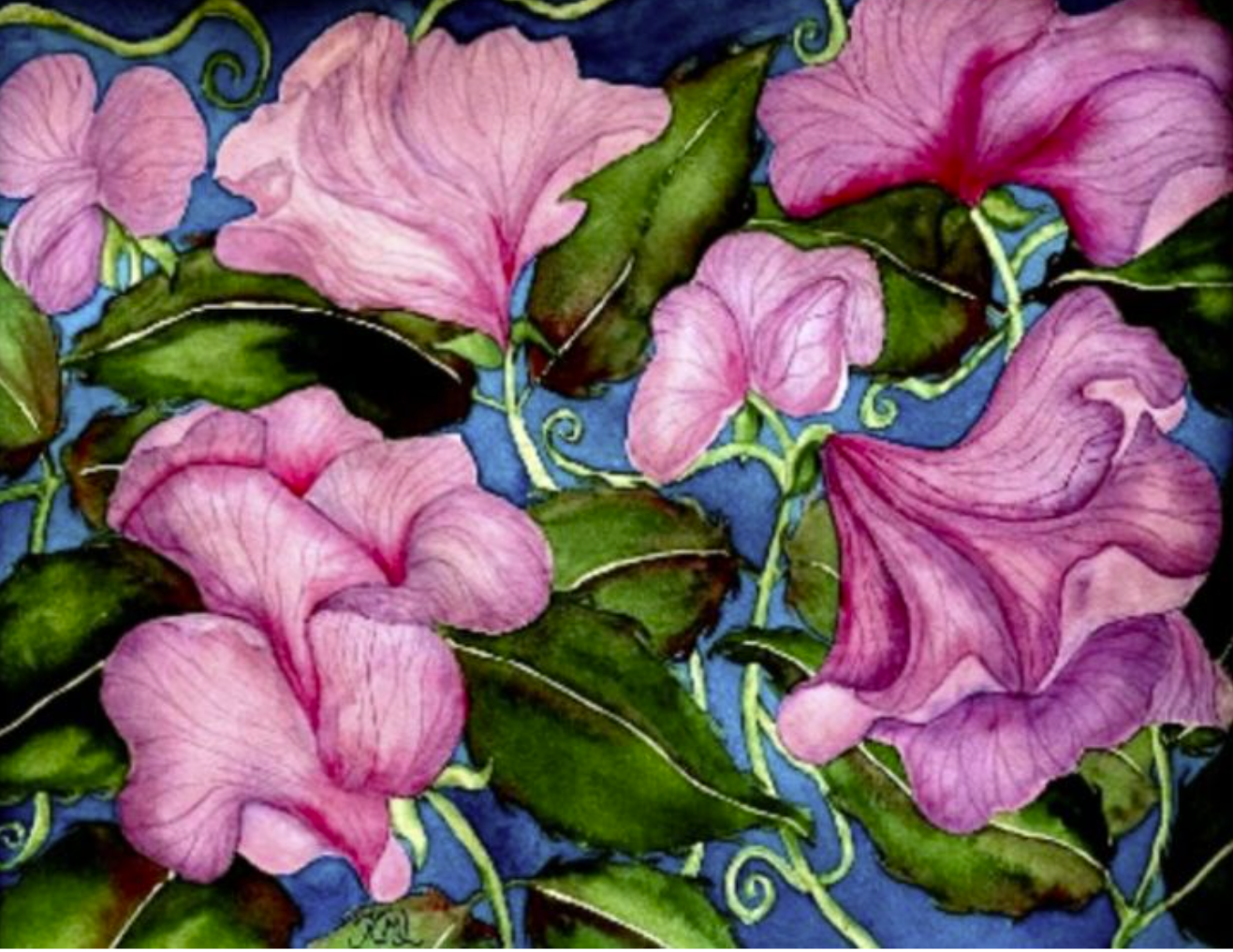 Painting Watercolor Flower Sweet Pea Pink Lavender